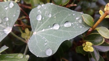 201256