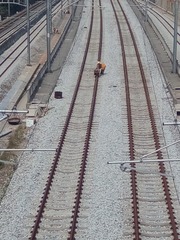 164337