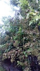 201253