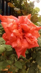 201245