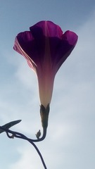 178295