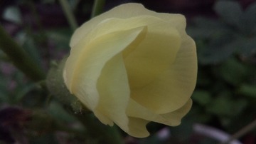 188202