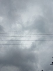 159408