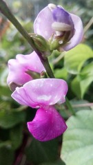 201263