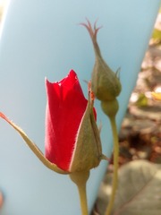 159043