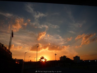 24CB928D-7007-4ABB-A7D5-2016B0D06509/L0/001