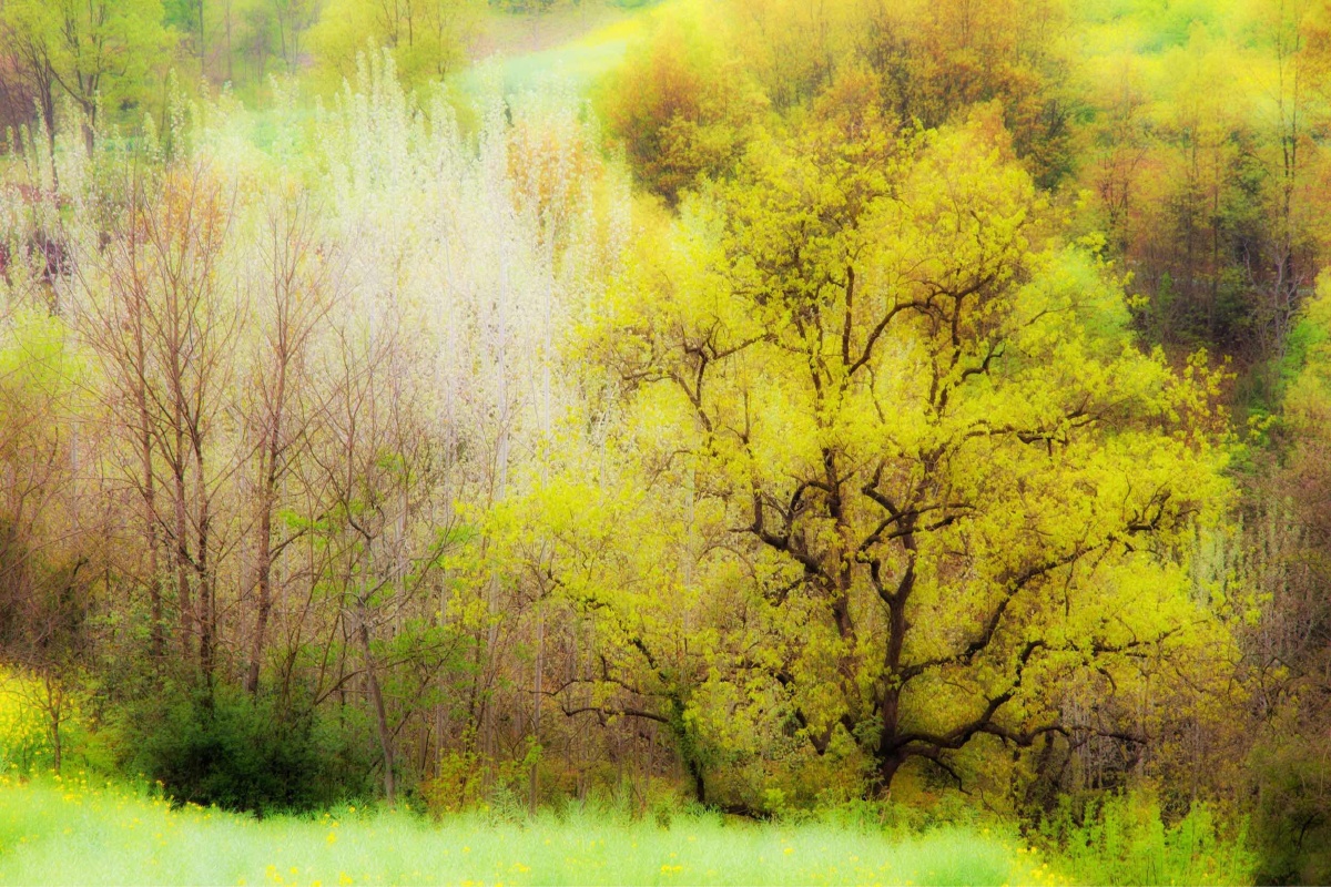 最美人间四月天莺飞草长醉春烟