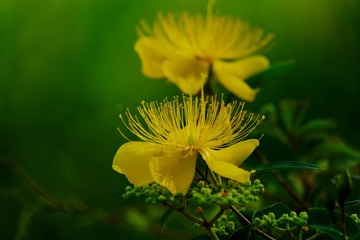 F7AE8504-4417-40C8-A282-BC96129D3AC3/L0/001