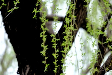 F8CE3D89-48E1-4464-B249-9790A956FF31/L0/001