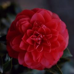 461AAAF3-5AA1-478C-A22B-B03FDF3286D3/L0/001