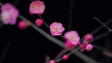 80CF92E1-7875-4460-94D2-E752A15571FA/L0/001