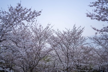 0A564BC9-BC26-4F50-80D6-9C93CAC4A4AE/L0/001