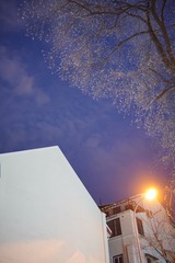 FE48FD5D-A877-43DA-9289-AEBE99F78C5A/L0/001