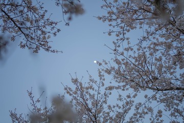 8EA37129-244E-436A-B642-496952CA7913/L0/001