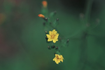 C27A1EB0-299A-4597-83CA-F5A0D4E20D63/L0/001