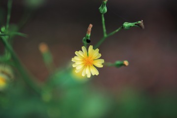1724DF73-8F98-4D2D-82A5-D30BD6B9ED71/L0/001