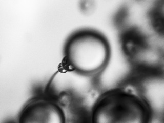 71688C31-4446-484F-9BC7-CC9A21AEEBDB/L0/001