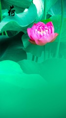 001