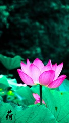 001