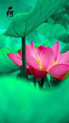 001