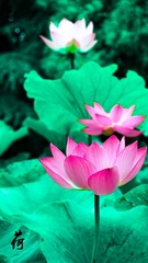 001