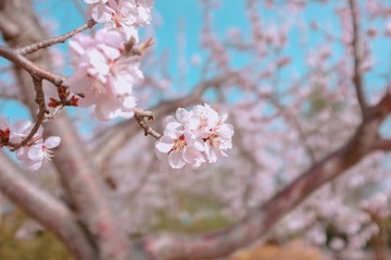 09483F57-2D3B-4732-9CAC-1FA1BB0F7504/L0/001