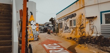 491831
