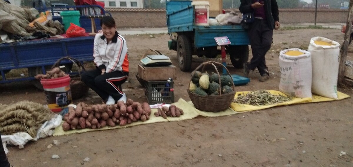 市场上紫薯怎么变认中国紫薯