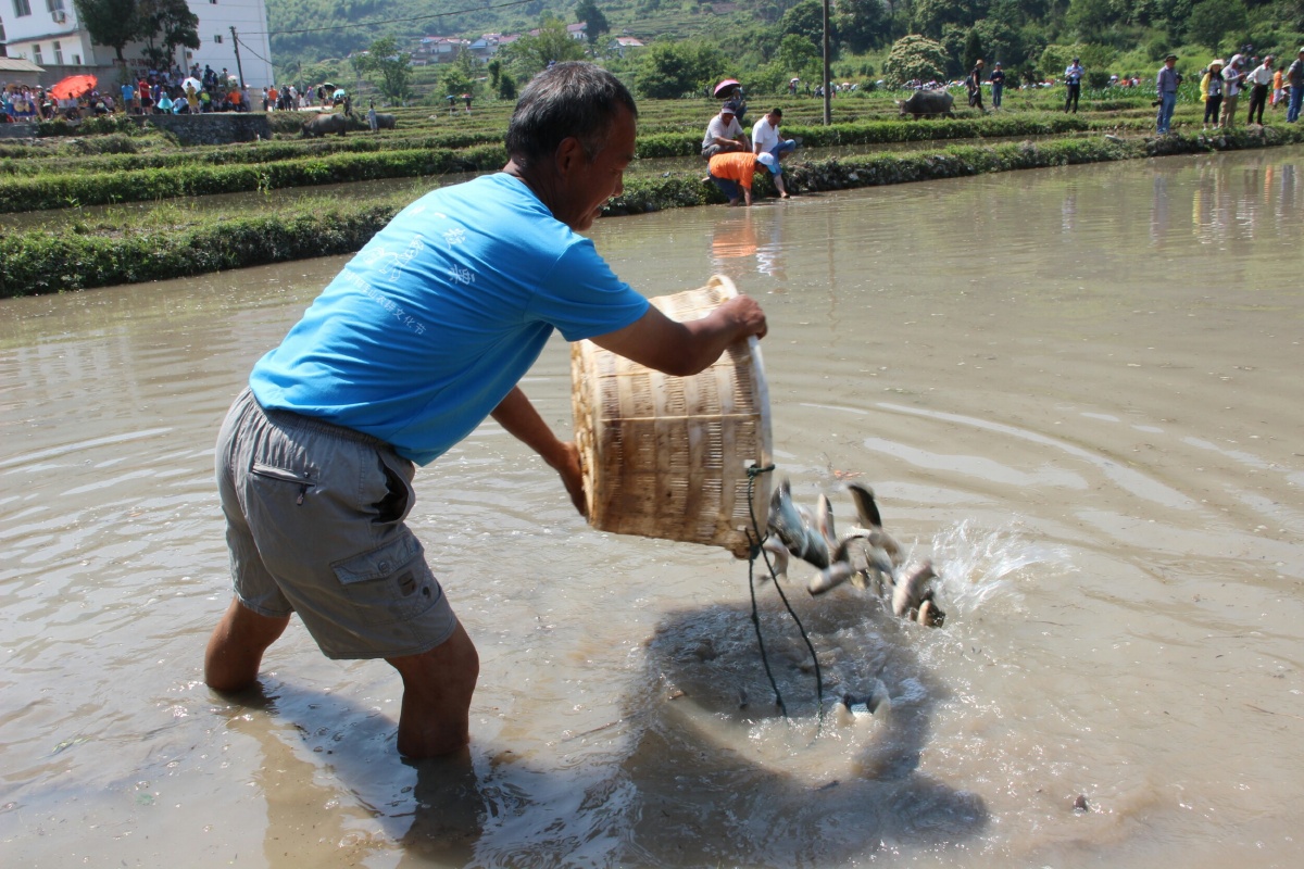 "扬子村镇银行"杯丁香库山农耕文化摄影比赛暨田园趣味运动会