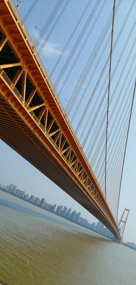 武汉杨泗港大桥