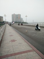 IMG_20161021_150505