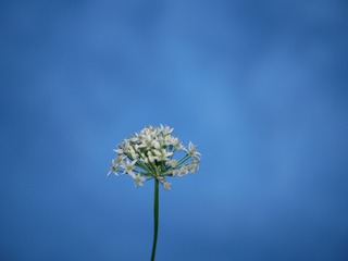 1696322