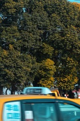 77AA8407-CA12-46BB-806D-54965AC69217/L0/001