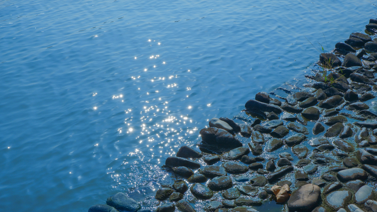 波光粼粼的水面