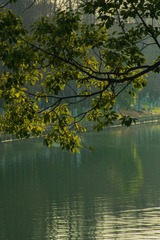 6B02EF80-0F76-485D-8524-512D5913A9F0/L0/001