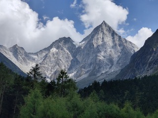 1000046768