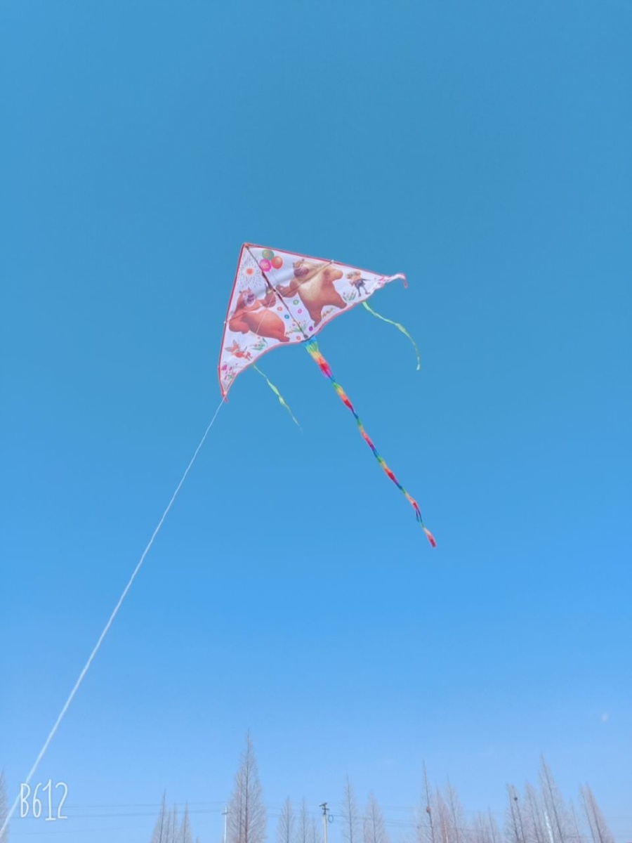 但是啊,脱了线的风筝飞不久,掉下来的风筝大多数都会被扔进垃圾桶,再