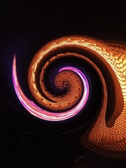 EE8EE228-B766-46E3-BD35-C67998E12F59/L0/001