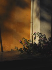1990809