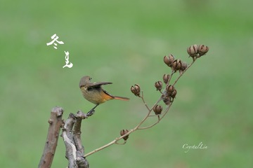250215BD-05DB-4DBF-A543-C52D83C5F3AB/L0/001