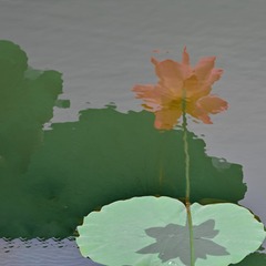 9B9F830C-26D5-444B-9FD0-A447BE3455A1/L0/001