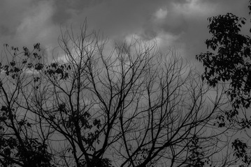 3B3ACF5E-8ADF-4702-A6D5-4152FCFBA065/L0/001