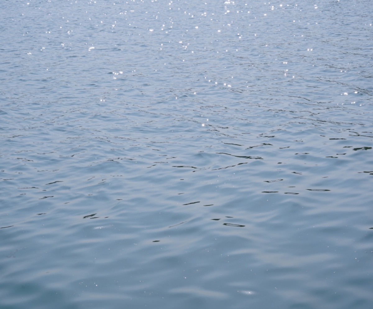 波光粼粼的湖面太美好啦