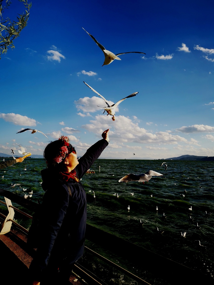 倦鸟归,游子醉 - 番王归来 - 图虫