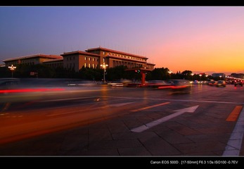 DPP_-20000016