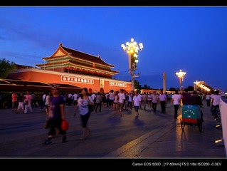 DPP_-20000019