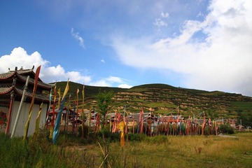 IMG_8228.jpg