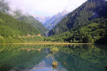 IMG_8319.jpg