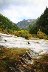 IMG_8359.jpg