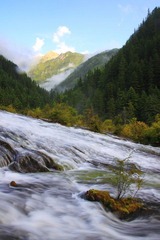 IMG_8376.jpg